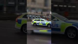 Police car sound in different countries 🚔 [upl. by Atteram539]