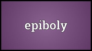 Epiboly Meaning [upl. by Ienttirb]