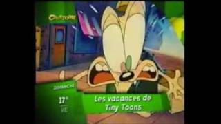 Les vacances de Tiny Toons  Cinétoon [upl. by Ardnuasal892]