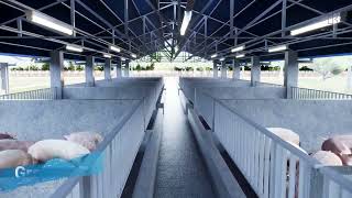 20 sow level building  Pig Farm Design babuyan piggery piggy building [upl. by Kelleher184]