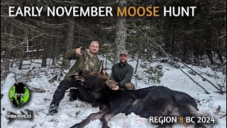 Early November Moose Hunt British Columbia Region 8 [upl. by Maxwell]