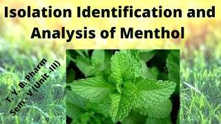 Isolation Identification and Analysis of Menthol Mentha oil Pharmacognosy [upl. by Poll]