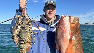 Queensland winter spearfishing from crayfish to coral trout [upl. by Halbert]