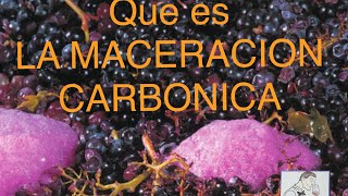 60 QUÉ ES LA MACERACIÓN CARBÓNICA [upl. by Eneg856]