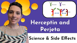 The Science and Side Effects of Herceptin and Perjeta my HER2breast cancer journey [upl. by Cyb330]