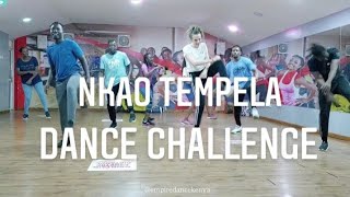 Nkao Tempela Dance Challenge  Chicco ft Mellow Sleazy [upl. by Megdal398]