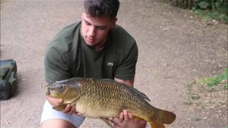 URBAN CARP FISHING  Quick Session at Brooklands Lake [upl. by Sabelle]