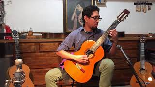 Héctor Alfonso Torres performs Lamentos do morro Garoto on a 1979 Ramirez 1A [upl. by Ennylyak787]