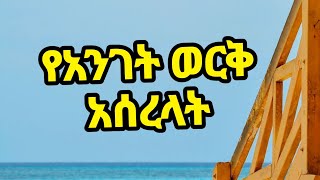 ሀይሚ ከድንገት ታመመች ለብሩኬ የአንገት ወርቅ አሰረችለት 💔🥲 [upl. by Fabrienne]