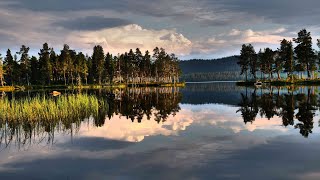 2024 Schweden  Basiscamp am See bei Arjeplog und eine Wanderung im Arvesjakka naturreservat [upl. by Vetter514]