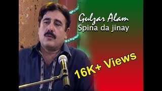 Gulzar Alam  Spina da jinay [upl. by Corine]