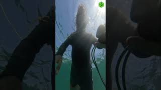 Unbelievable Discovery Found a Canon Underwater Must See [upl. by Aihseyn]