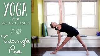 Triangle Pose  Trikonasana  Foundations of Yoga [upl. by Japheth830]