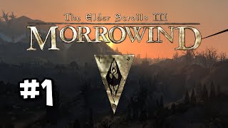 Morrowind BLIND Lets Play with Mr Anderson Part 1 [upl. by Good233]