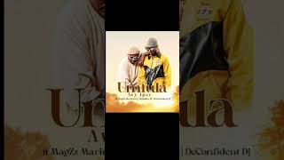 avyipersa ft maggzmarimbaMalaikaconfidence dj UMFULA [upl. by Carnes]