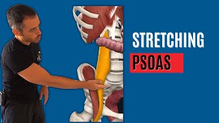 Muscolo PSOAS ecco 3 STRETCHING quasi quotmiracolosiquot [upl. by Naicad]