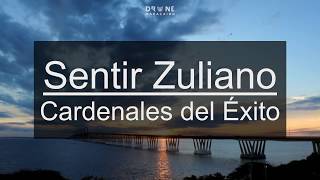 Sentir Zuliano  Cardenales del Éxito  Puente sobre el Lago de Maracaibo [upl. by Tiram]