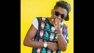 Shatta Wale  See Da Fool Audio Slide [upl. by Wieren]