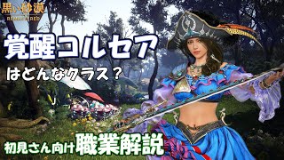 【黒い砂漠】覚醒コルセア PvE解説 in ポリの森星の墓場【職業解説】 [upl. by Einhpad]