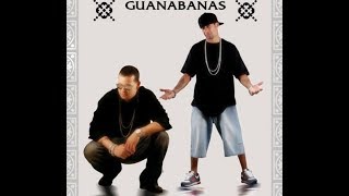 Las Guanabanas Reggaeton Exitos Mix [upl. by Adni]