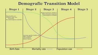 Animation of the demographic transition model and population growth amp decline [upl. by Nonahs452]