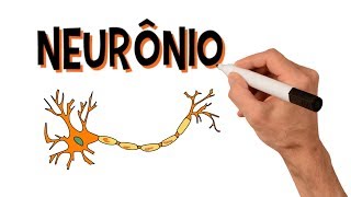 ✅ NEURÔNIOS e NEUROTRANSMISSORES  Estrutura [upl. by Grant]