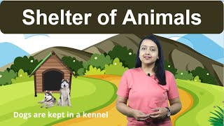 Shelter Of Animals Class 2 Science [upl. by Rothschild]