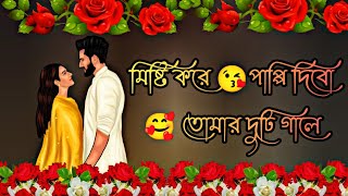 ভালোবাসার দুষ্টু মিষ্টি Romantic Shayari ভিডিও  valobasar dostu premer misty shayari  shayari [upl. by Doralyn]