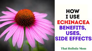 How I Use Echinacea [upl. by Platus]