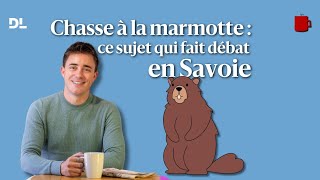 Chasse à la marmotte  l’autoriser ou l’interdire totalement le sujet qui fait débat en Savoie [upl. by Enymsaj425]