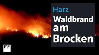 Harz Waldbrand am Brocken  BR24 [upl. by Rey]