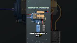 Single Phase Dual Capacitors Motor Connections Starting amp Running Capacitor motors motorcapacitor [upl. by Brooking717]