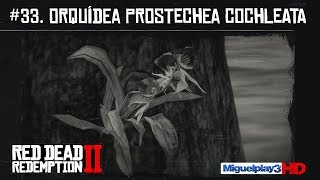 Localización múltiple Orquídea Prostechea Cochleata  33Compendio Plantas  Red dead redemption 2 [upl. by Otreblanauj876]