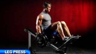 Powertec Compact Leg Sled  FitnessXpresscomau [upl. by Ecinwahs]