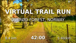 Virtual Trail Run  Oserød Forest  Nøtterøy Norway  Lovely Sunshine  POV Scenery for Treadmill [upl. by Bettina]