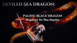 Deviled Sea Dragon Pacific Black Dragon🐉🐠fypシlegendoceanseaanimalsseacreaturesfishdeepsea [upl. by Enuahs]