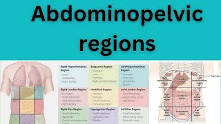 Abdominopelvic regions or Quadrants [upl. by Uokes]