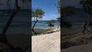 Guánica Puerto Rico 🇵🇷 guanica puertorico playa visitpuertorico puertoricobeach beachlife [upl. by Vern]