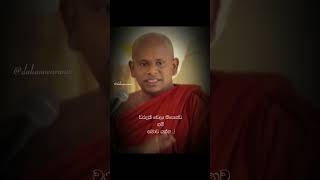 වරදක් උනා නම් සමාව ගන්න🙏↔️walimada saddaseela thero bana bana buddhistfestival trending love [upl. by Pinette]