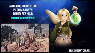 BDO Gathering  Rough Stone  Pilgrims Haven  2000 Mastery  Money Per Hour  2024 [upl. by Esidnak]