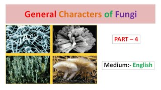 General Characters of Fungi Part4 English [upl. by Pettifer]