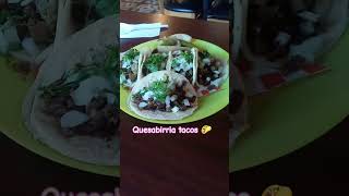 Quesabirria tacos 🌮 in Chandler [upl. by Nyraa]