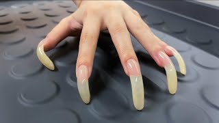 ASMR Tapping amp Scratching with my LONG NATURAL NAILS🐱🐾 [upl. by Robin]