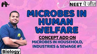 Microbes in human Welfare Class 12 Biology NEET  NCERT Chapter 8  Household Industries Sewage 1 [upl. by Deppy]