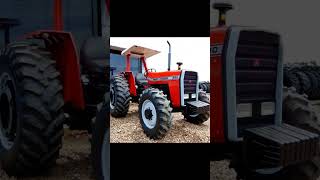 Trator Massey Ferguson 290  Verdadeira Lenda Melhor trator MF 290 4x4 [upl. by Anitsuj18]