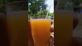 fresh muskmelon juice  kirni palam juice 🧊 for summer [upl. by Enerehs]