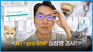 NTproBNP 검사 왜 심장병일 때 할까👨🏻‍⚕️｜검사 비용이 부담된다면｜심장병 검사｜심장초음파｜Troponin I검사란💙 [upl. by Luis]