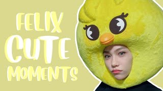 Felix cute moments [upl. by Anitnahs]