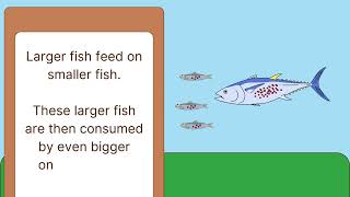 Bioaccumulation How Pollutants Affect Organisms and Their Environmentquot 🌍🐟 [upl. by Reifnnej50]