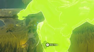 What Happens if you Try to Steal a Silver Lynels Weapons Zelda Breath of the Wild [upl. by Bolen]